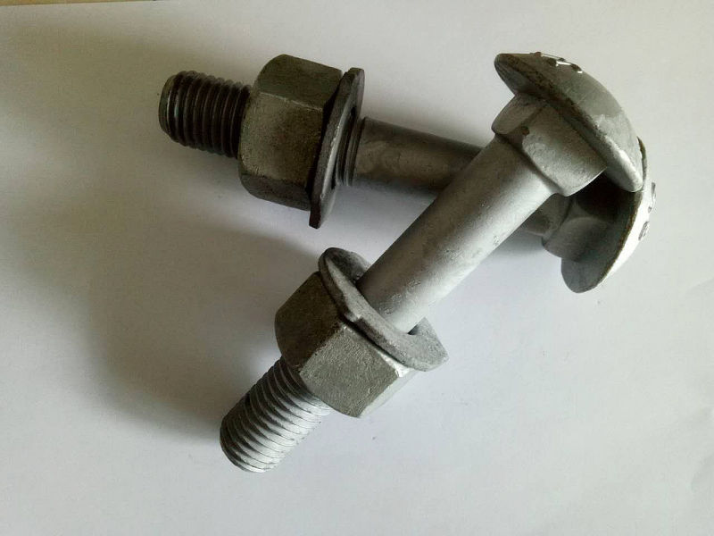 Best Price As1252 Nut and Washer& as 1390 Zinc Carriage Bolt