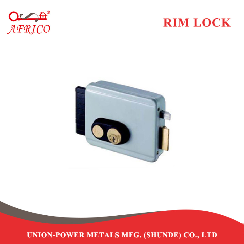 Electronic Locks Smart Lock Electric Rim Lock Cylinder Door Lock