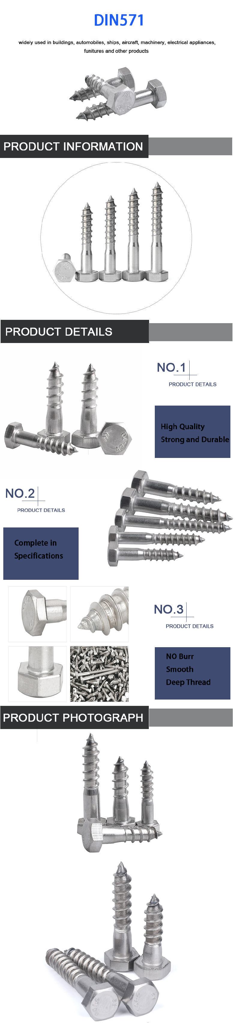 Made in China Stainless Steel A2-70/ SS304 DIN571 Hex Head Wood Screw Coach Screw Lag Screw
