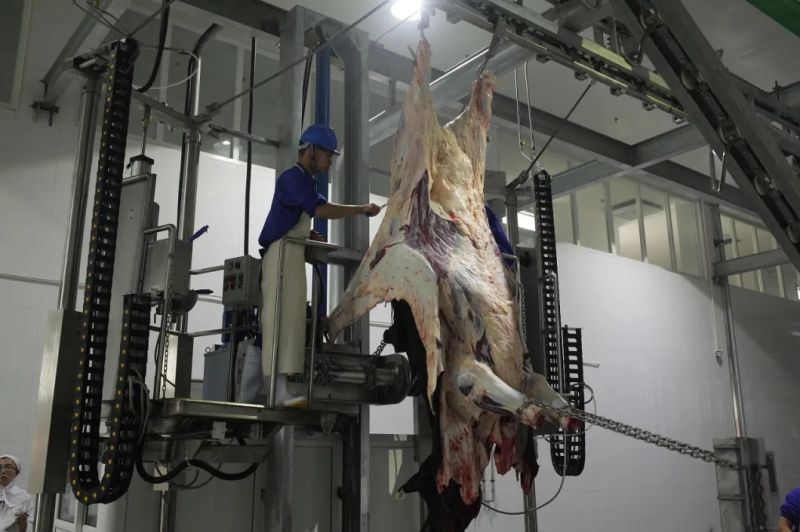 High Automatic Full Complete Buffalo Slaughter Machine for Buffalo Slaughterhouse
