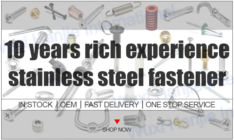 Stainless Steel 304/316 Fastener Hex Cap Nut DIN917