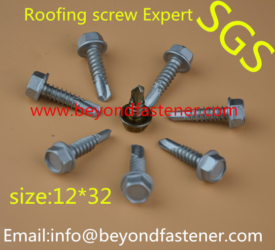 Screw Bi-Metal Screw/Roofing Screw/ Self Drilling Screw Self Tapping Screw