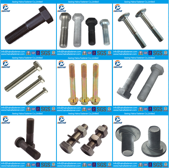 Hex Tap Bolt in Stainless Steel, A2-70 A4-80 SS316 Hex Bolt with Hex Nut