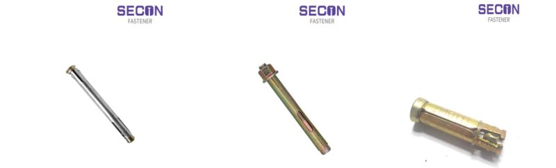 China Factory Wedge Anchor/Anchor Bolt/Drop in Anchor/Ceiling Anchor/Sleeve Anchor/Wall Plug Nail Anchor/Concrete Anchor Zinc Plated