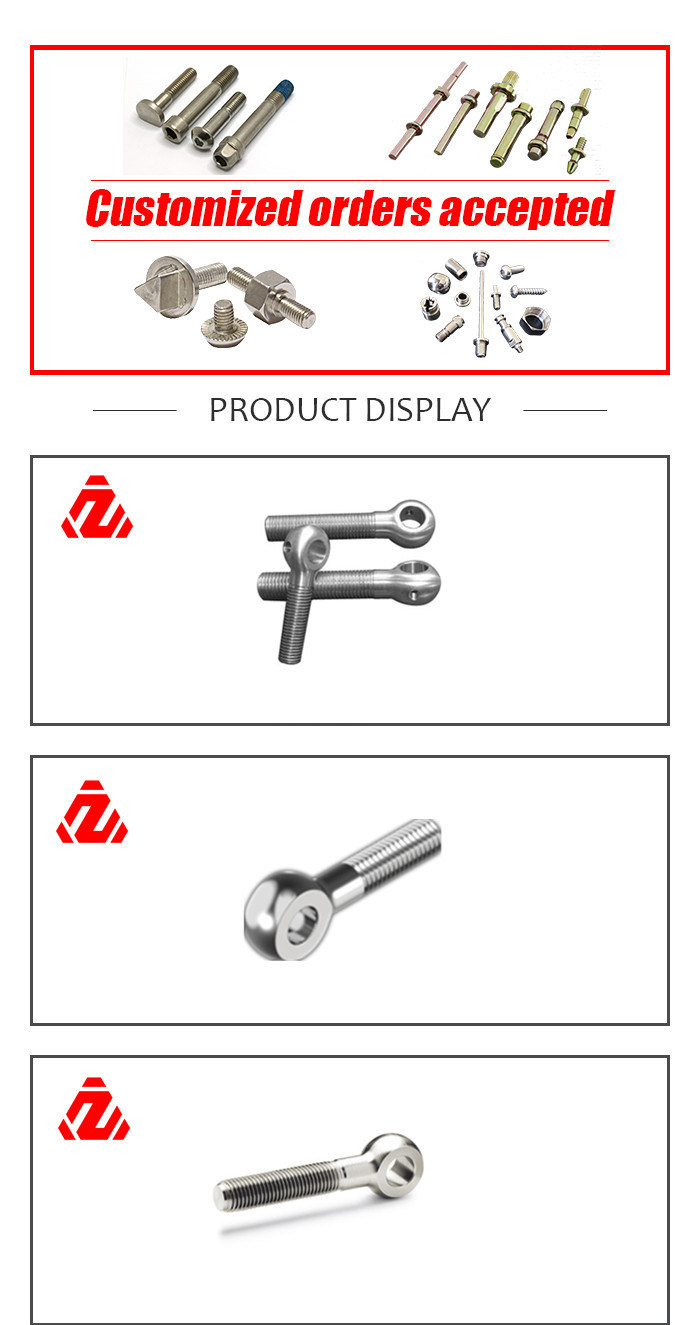 Stainless Steel M12 Anchor Eye Bolt Made in China