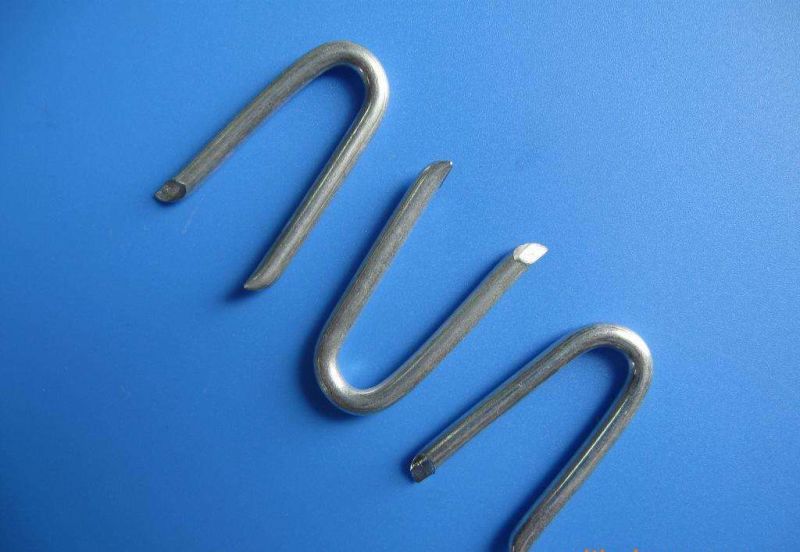 Factory U-Type Lawn Nails / Turf Nails