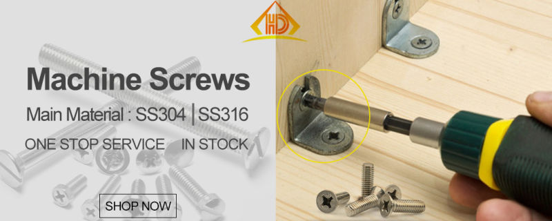 Low-Cost Supply of Stainless Steel Slotted Pan Head Screw DIN85