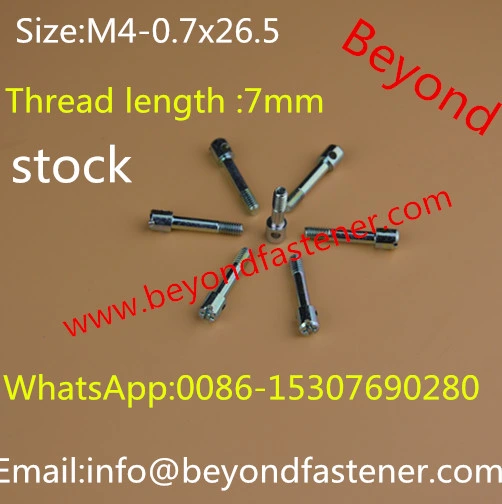 Screw/Bolts/Special Bolts/Step Screw/Fastener