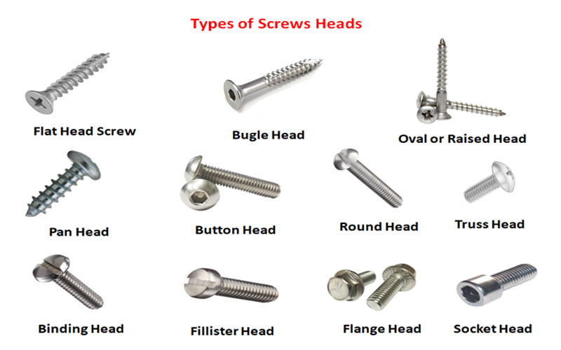 Stainless Steel Hex Bolt /Carriage Bolt/Stud Bolt /Flange Bolt/T Head Bolt/Socket Bolt/Lag Bolt SS304 SS316