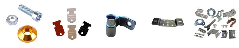 Stainless Steel Hex Bolt/ Bolt and Nut
