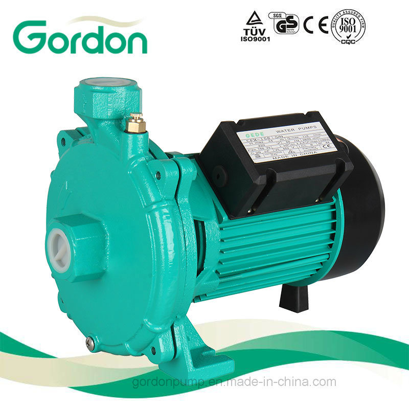 Domestic Electric Copper Wire Self-Priming Centrifugal Pump with Brass Impeller