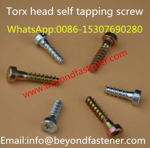 Torx Screw Cylinder Head Screw Cheese Head Screw/Step Screw