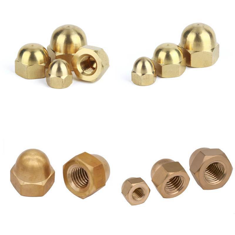 DIN ISO All Kinds of Nut/Cap Nut/Flange Nut/Pop Nut/T Nut