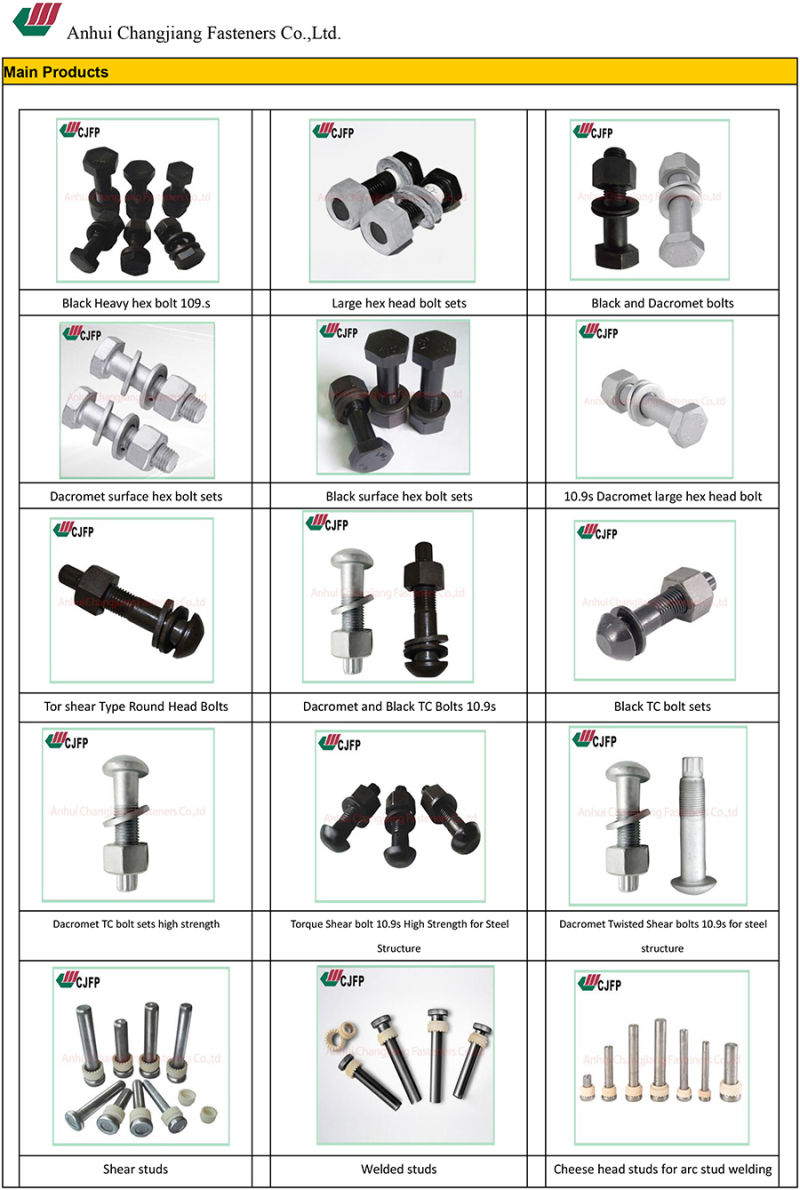 Blackening Surface Treatment Twisted Shear Bolt Ts Bolt Tc Bolt