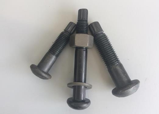 ANSI Atme Heavy Round Head Configurations Twist-off-Type Tension Control Structural Bolts Torsional Shear Bolts