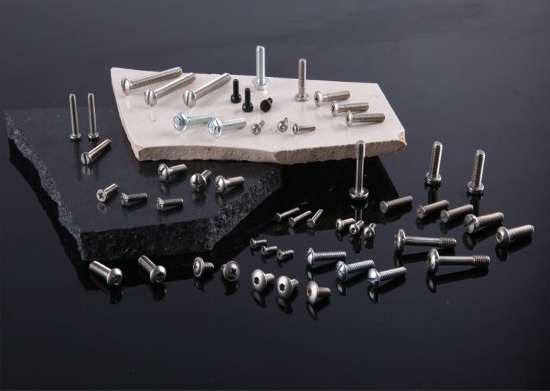 DIN912 ISO7380 A2 A4 SS304 SS316 Stainless Steel Head Socket Cap Head Hex Head Machine Screws Self Tapping Screws