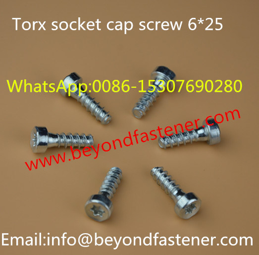 Bolt/Machine Screw/ Bolts Pan Screw Torx Bolts/Screw/Fastener