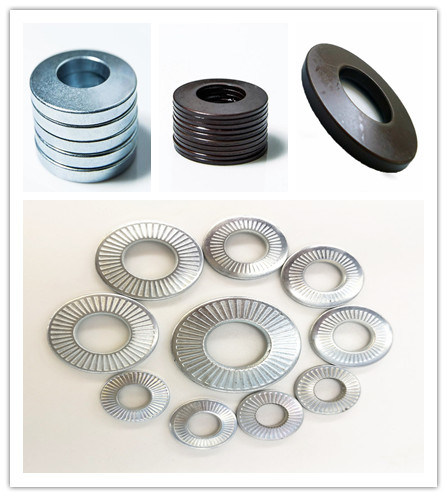 High Precision Customized Metal Disc Spring Washer