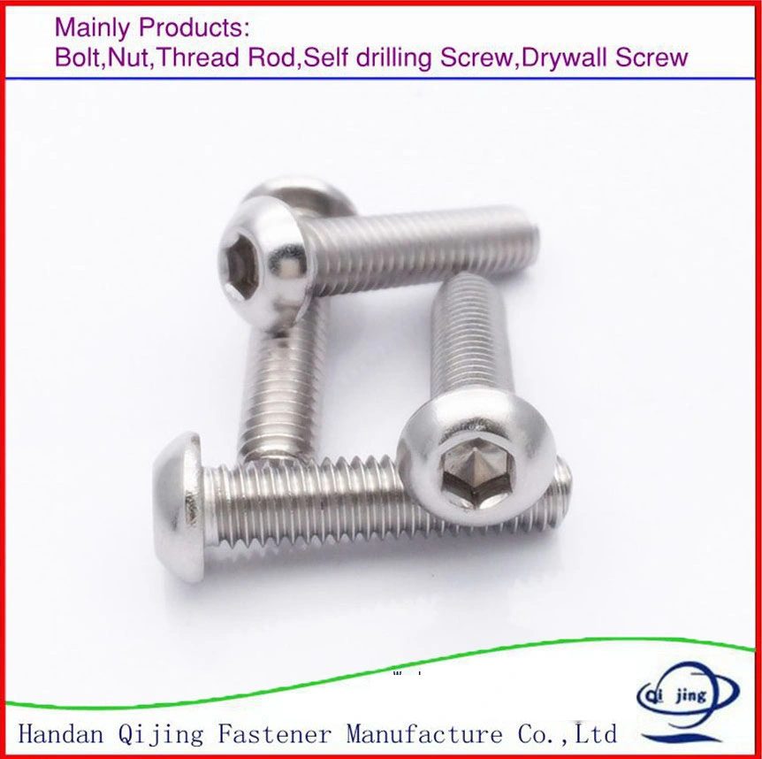Wood Screw Drywall Screw /Self Tapping Screw Self Drilling Screw