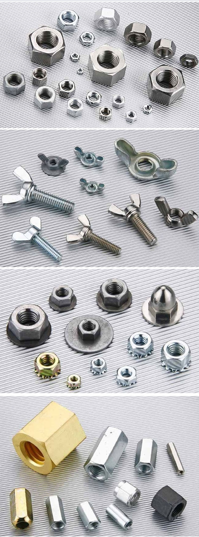 DIN186 Stainless Steel T Head Bolts with Square Neck Bolts