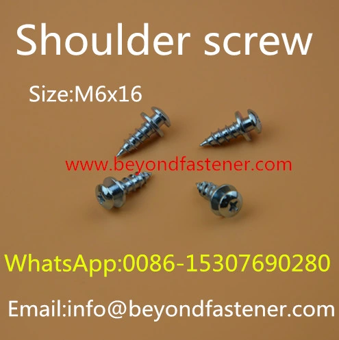 Terminal Cover Screw/Machine Screw/Bolts/Terminal Bolts/Terminal Screw