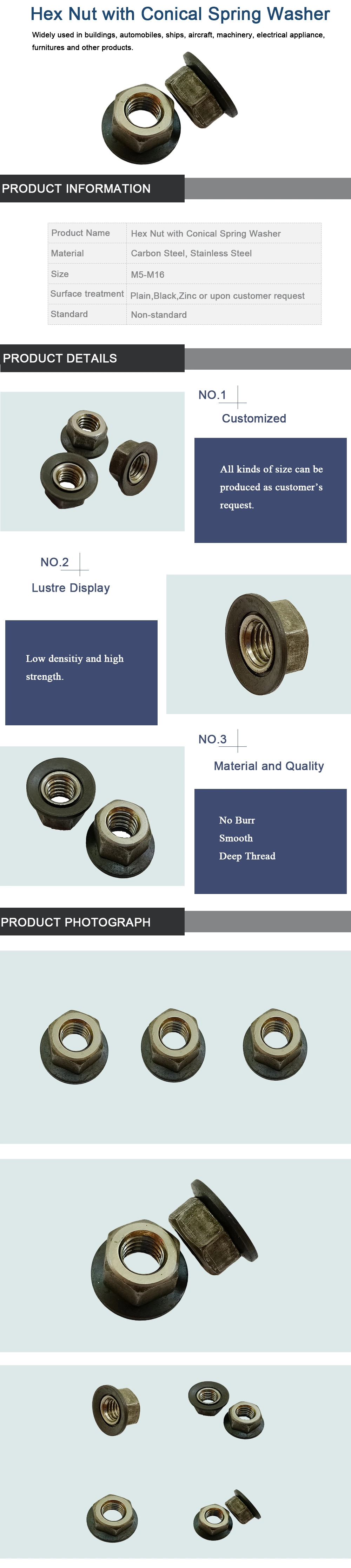 High Quality Carbon Steel Customized Hexagon Nuts Steel Nut Step Nut Furniture Nut Lock Nut Rivet Nut Flange Nut Cap Nut with Conical Spring Washer