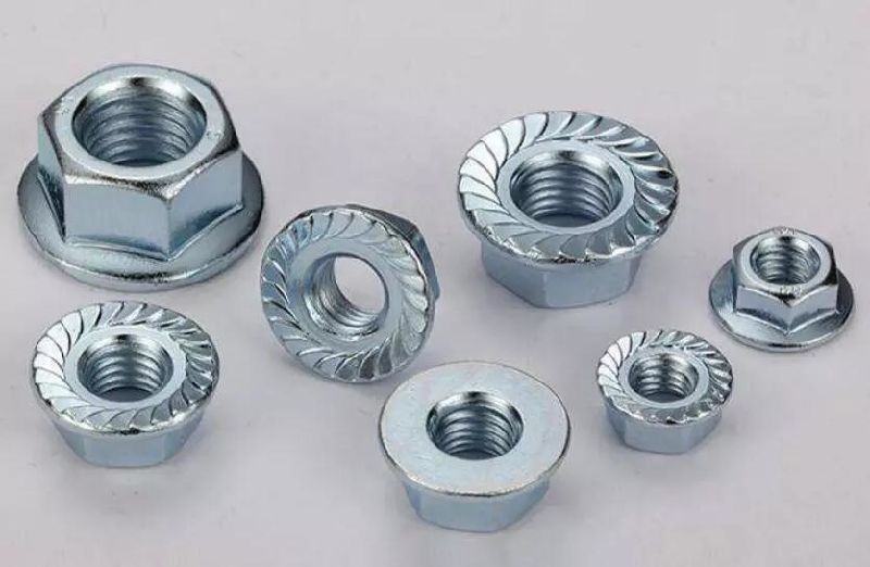 Fastener Stainless Steel SS316 SS304 A2 A4 DIN6923 Hex Flange Nuts with Serrated