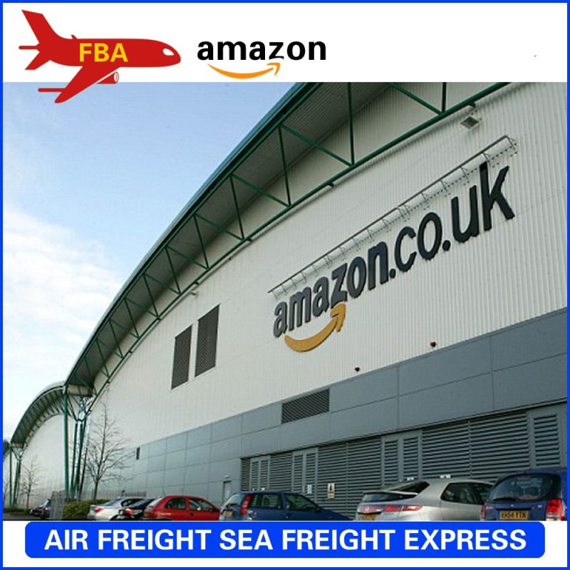 USA Amazon Fba Sea Freight Forwarder Shipping Agent in Shenzhen