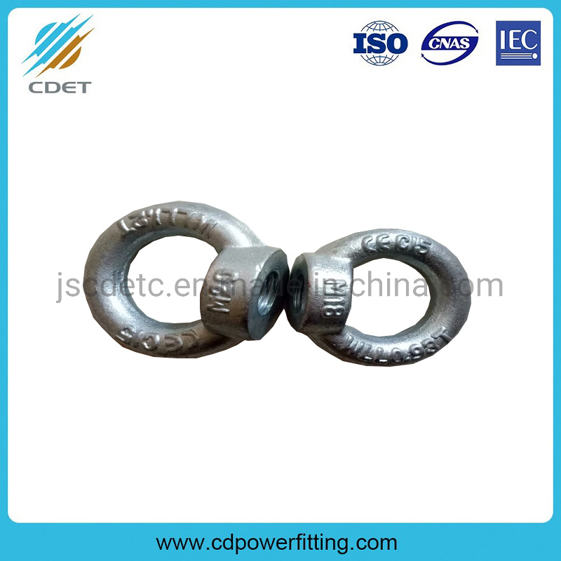 China Carbon Steel Lifting Eye Nut Bolt