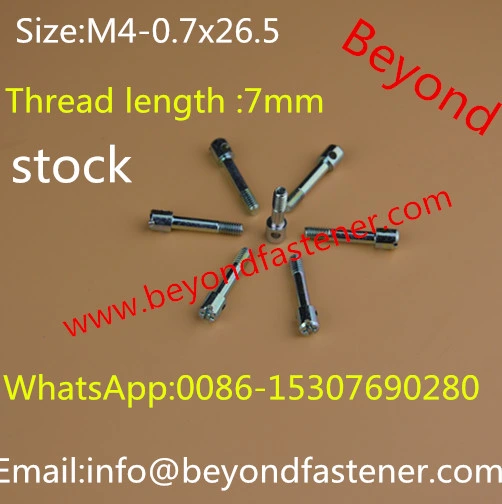 Terminal Cover Screw/Machine Screw/Bolts/Terminal Bolts/Terminal Screw