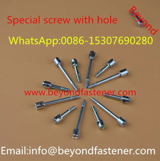Step Screw Special Bolts Screw with Hole Terminal Cover Bolts