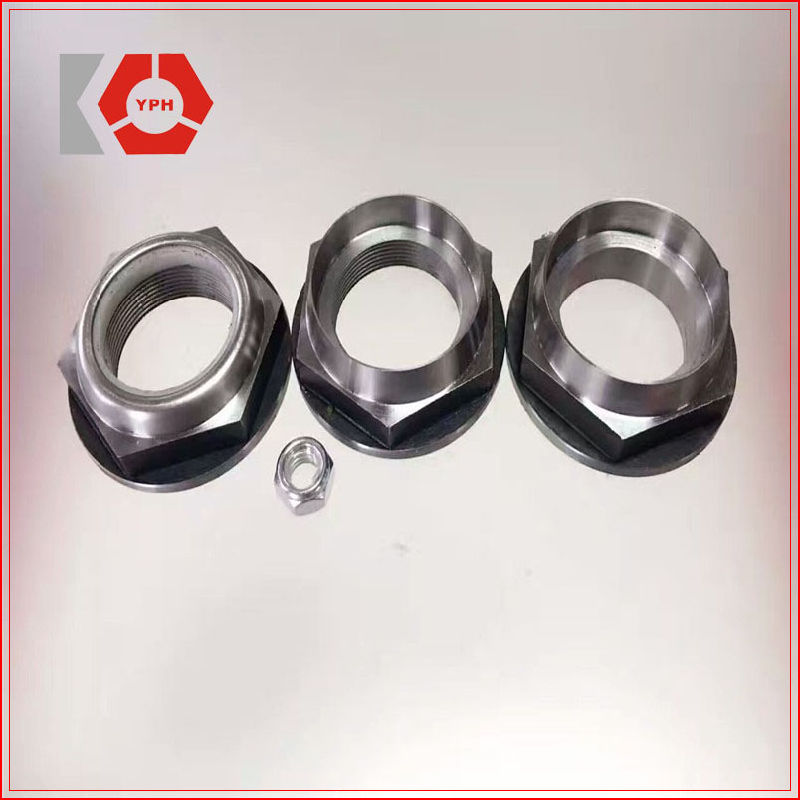 Round Nuts of Zinc Plain Carbon Steel Preferential Price and High Quality Precise