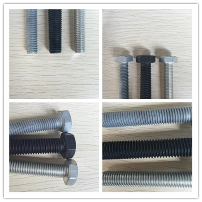 Stainless Steel Carbon Steel Flat Head M4 Carriage Bolt with Good Price