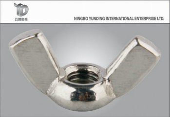China Good Fastener Manufacturer Wing Nut Welded Type or Flange Nuts and So on Suppliers