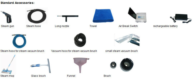 Best Sale Steam Car Washer/Portable Car Washer/Car Mat Washer (SS-JNX-8000)