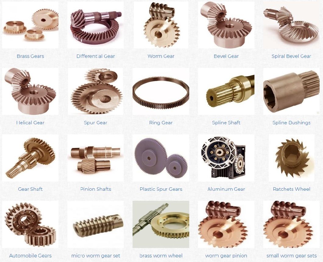 Bronze Screw Gears Spiral Bevel Hypoid Stainless Steel Aluminum-Bronze Plastic Spur Transmission Part Pressure Angle 20 Helix 45 High Quanlity Bronze Screw Gear