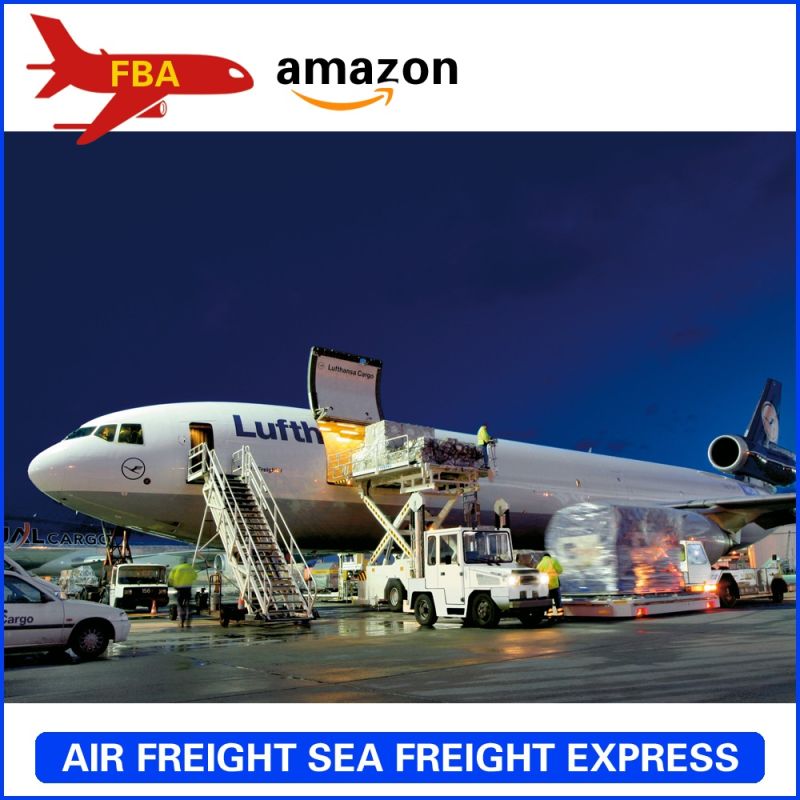 Amazon Fba DDP Shipping USA Freight Forwarder