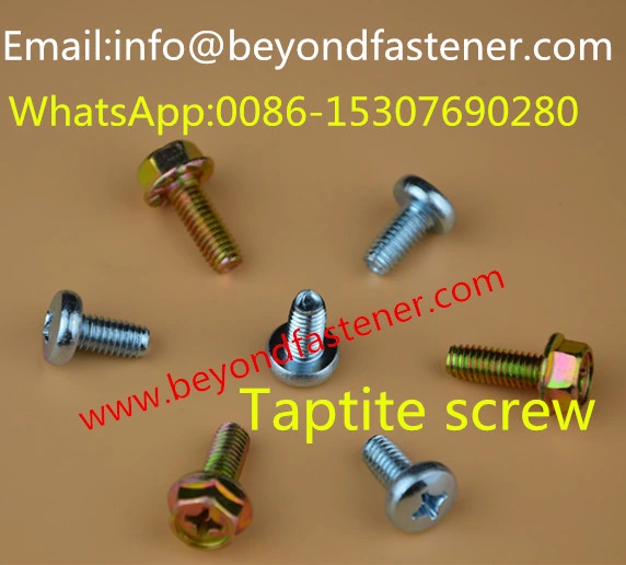 Terminal Cover Screw/Machine Screw/Bolts/Terminal Bolts/Terminal Screw