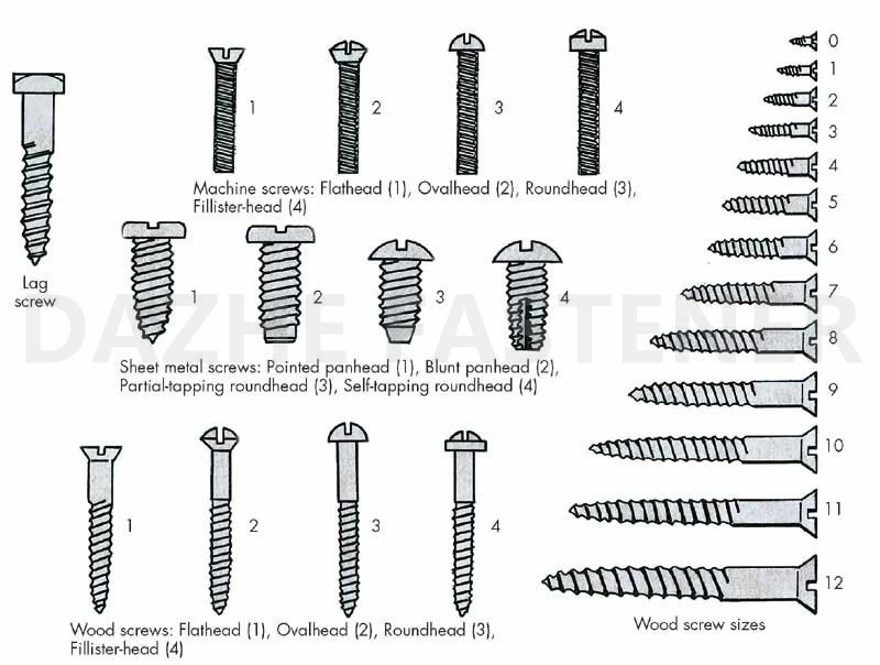 China Fastener Machine Screw Stainless Steel Screw Steel Screw Brass Screw