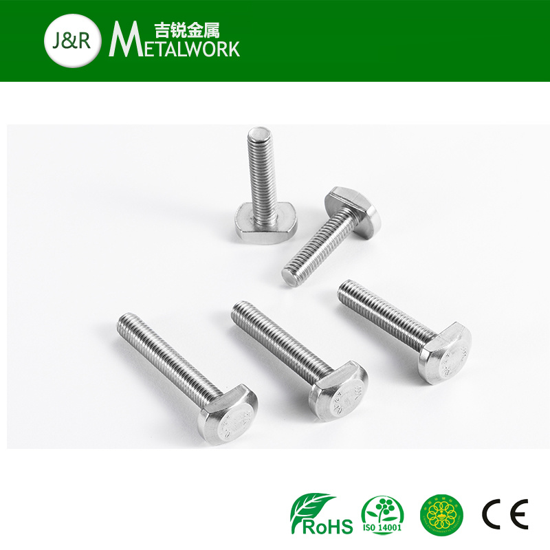 Hight Quality SS304 SS316 Stainless Steel T Bolt DIN787