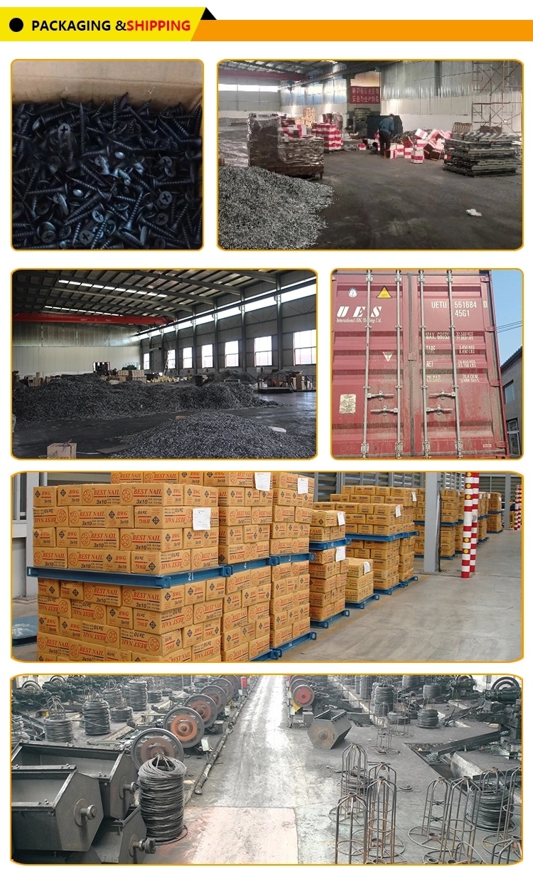 All Kinds of Black Drywall Screws From China Manufacturer