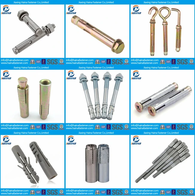 Made in China Zinc Plated Expansion Anchor with Eye Bolt, Anchor Eye Bolt