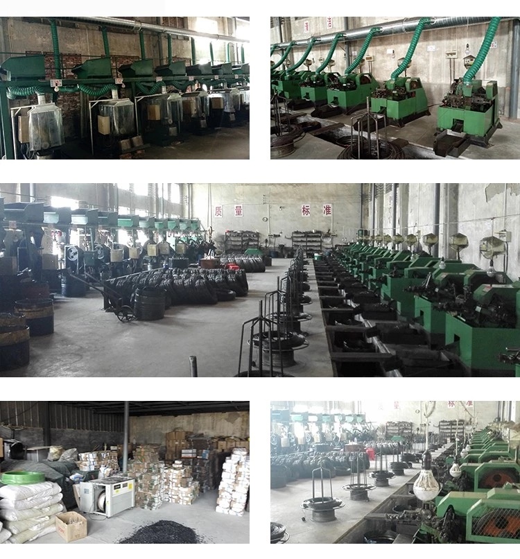 China Manufacturer Black Phosphate Fine Thread Drywall Screw/Drywall Screw