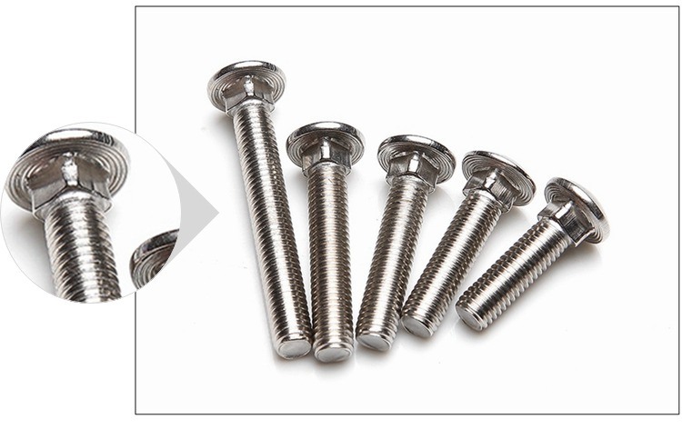 Stainless Steel Carriage Bolts / Coach Bolts