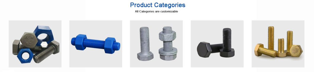 Made in China Fasteners U Bolt Bolt and Nut T Head Bolt Flange Bolt Anchor Bolt U-Bolt Lifting Eye Bolt Allen Bolt Stud Bolt with Hex Nuts and Flat Washer