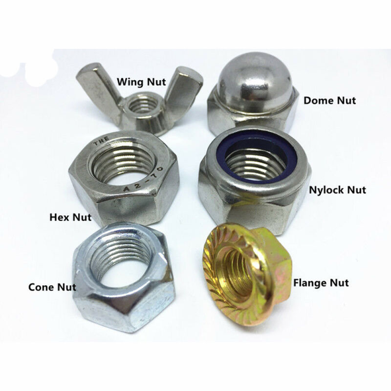 Flange Nut/Hex Cap Nut/ Dome Nut/Wing Nut/Nylock Nut/Cone Nut