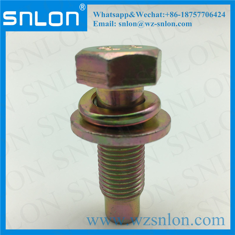 Hex Head Cap Screw with Spring Washer Flat Washer