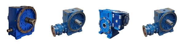 Transmission Worm Gear Series Double Enveloping Worm Gear Worm Gearbox