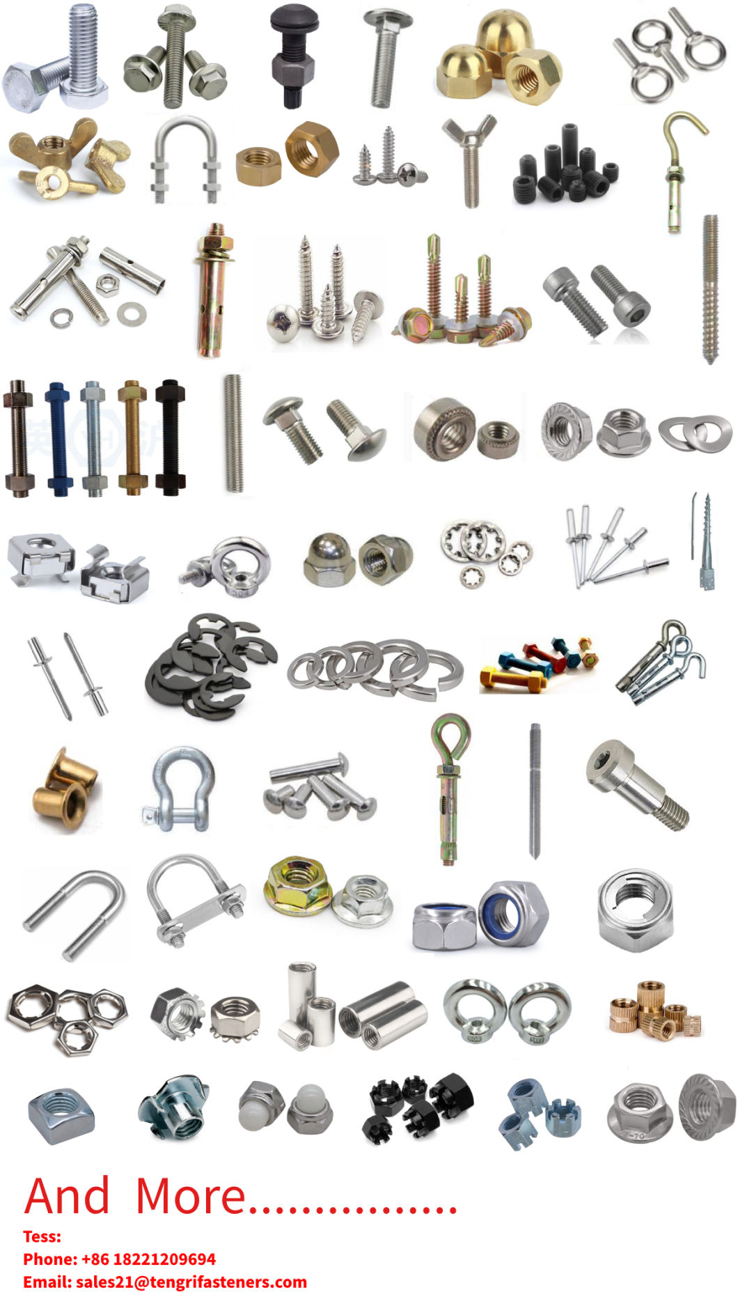 Top Class Fastener Supplier Located in Shanghai