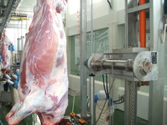 High Automatic Full Complete Buffalo Slaughter Machine for Buffalo Slaughterhouse